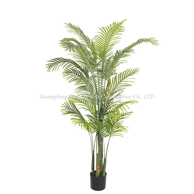 5ft gervipálmaplanta