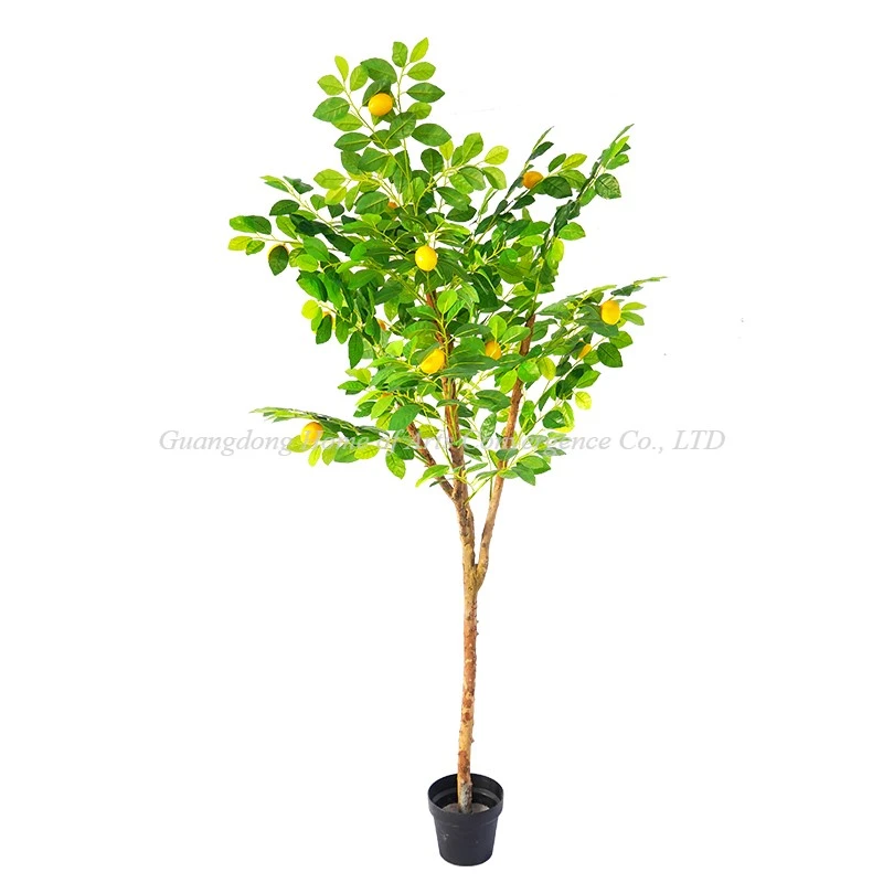product-800-800 product-800-800