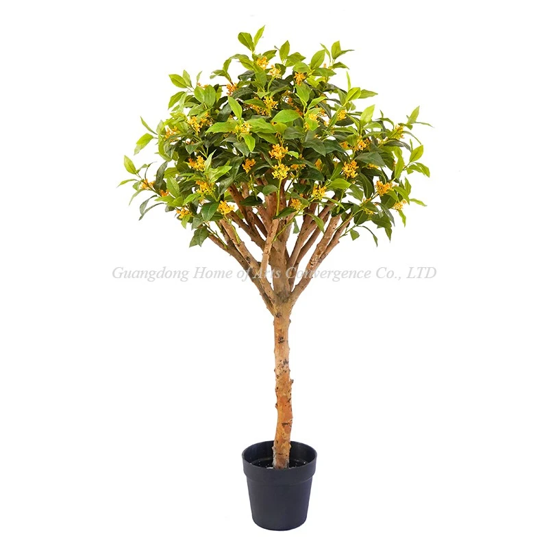 product-800-800 product-800-800