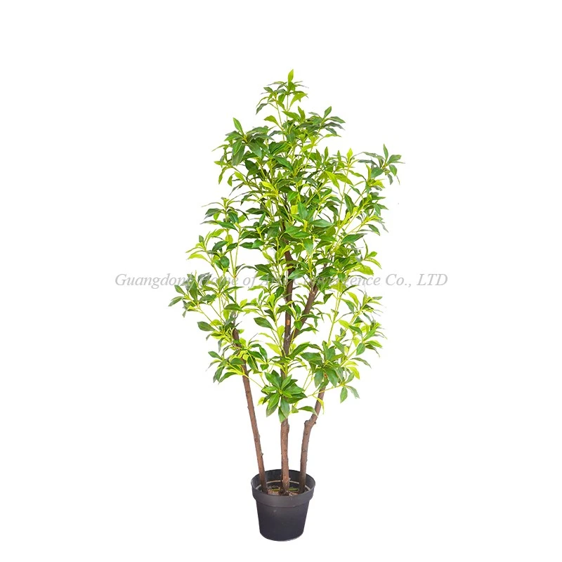 product-800-800 product-800-800