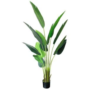 Gervi bananatré 220cm